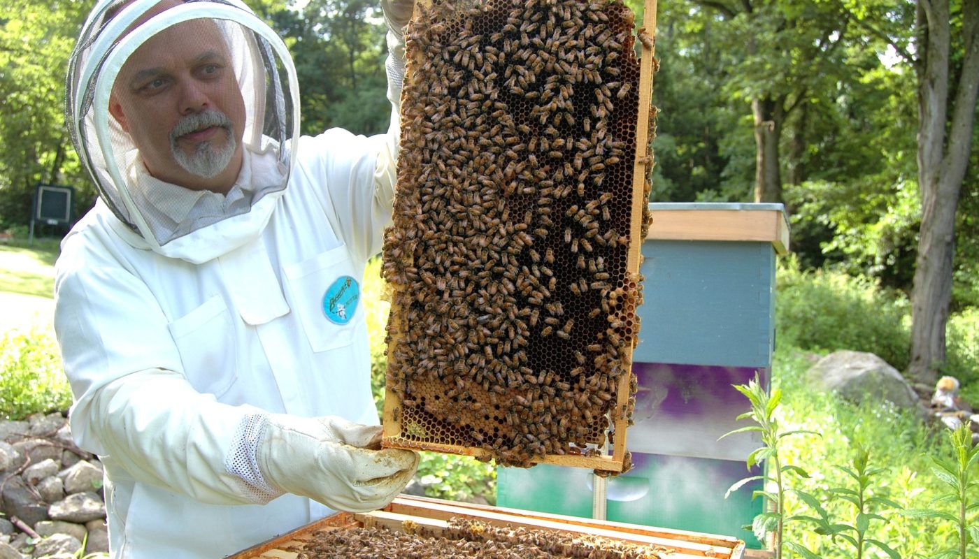 Beekeeper with Hive